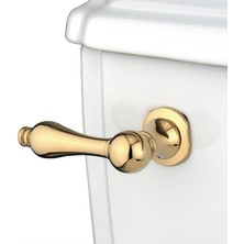 Valor Kingston Brass Ktal2 Victoria Devrine Ait Tank Kolu, Cilalı Pirinç, 6.7 cm Sap Uzunluğu