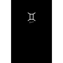 Valor Gemini Journal