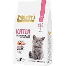 Pufito Kitten Frıschem Lach Salmon 10KG  (Somonlu Yavru Kedi Maması )