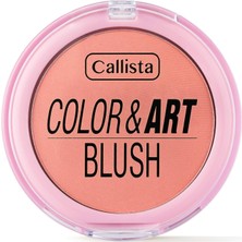1001 Color Art Blush Allık 180 Pink Perfection