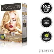 1001 Lilafix 10.0 Sedef Sarı Sea Color Set Boya, 5 Paket