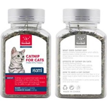1001 Matatabi Kedi Otu Nanesi Catnip 150 ml