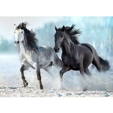 1001 1000 Parça Puzzle - Horses (Atlar)