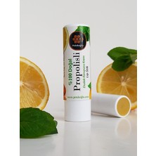1001 Dudak Kremi Propolis Bal Nane Limon Aynısefa Shea Hindistan Cevizi Üzüm Çekirdeği Yağları Bal