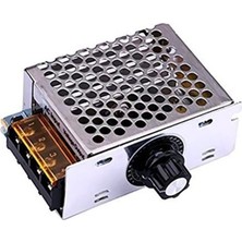 1001 Regülatör Ac 220V 4000W – Dimmer Koruma Kasalı