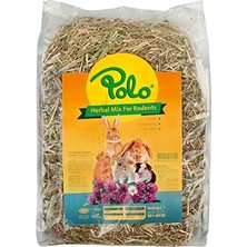 1001 Herbal Mix Kemirgen Otu 1 kg