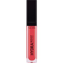 1001 Cosmetics Hydramoist Lipgloss 06 It's Fantastic Nemlendirici Dudak Parlatıcısı, Pembe