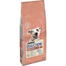 1001 Purina Somon Balıklı Yetişkin Köpek Maması 14 kg
