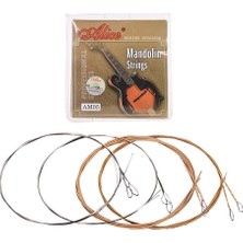 1001 AM03 Mandolin Teli, Mandolin Strings, Takım Tel
