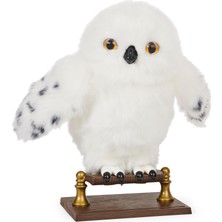 1001 Interaktif Hedwig