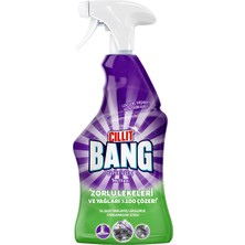 1001 Mutfak Yağ ve Kireç Çözücü Sprey 750 ml