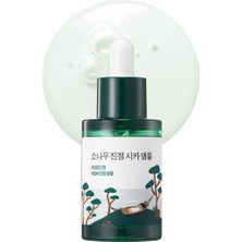 1001 Roundlab Pine Calming Cica Ampoule Yüz Ampulü 30 ml