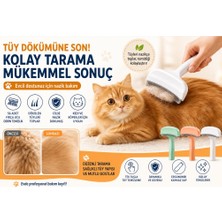 Küçük Hazine Metal Uçlu Evcil Hayvan Tüy Toplama Tarağı