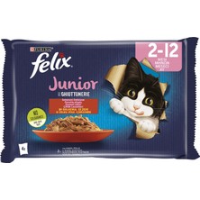 1001 Junior Tavuklu ve Sığır Etli Yaş Kedi Maması (4X85GR) - 12 Adet