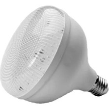 CATEKSSS 20W 6500K Beyaz LED Kristal Torch Ampul