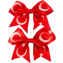 Bijuteri Net Ay Yıldız Fiyong Pens Toka 2 Adet