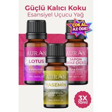 1001 Yasemin, Lotus, Japon Kirazı Saf Esansiyel Uçucu Yağ Buhurdanlık Yağ Difüzör Esans Aromatera