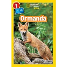 Fantastik Store Ormanda - Seviye 1