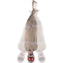 Alka Halloween Sensörlü Işıklı Hareketli Mumya 25X75 cm