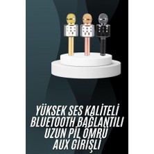 Alka Karaoke Mikrofon Bluetooth Bağlantılı Aux Girişli Uzun Pil Ömrü Yüksek Ses Kaliteli