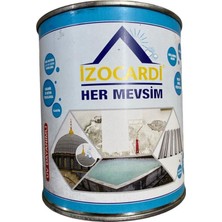 Alka Izocardi Her Mevsim Şeffaf Su Yalıtım Sıvısı 1 kg