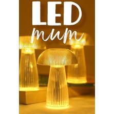Valor 3 Adet LED Mum Kristal Tip Pil Dahil Dumansız Alev Ledli Yapay Dekoratif Mum Işığı Şeffaf PT429