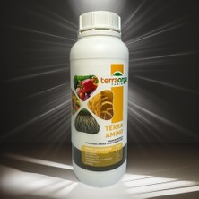 Valor Terra Ami̇no 1 Lt