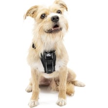 Valor Kurgo Tru-Fit Akıllı Köpek Tasması, Dolgulu Göğüs Kısmı ve D Halkalı, Araç Emniyet Kemeri Dahil, Xs