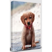Valor Süresiz Planlama Defteri - Masum Köpek