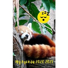 Valor Agenda Scolaire 2020 2021 Journalier Panda Roux: 280 Pages 12,7X20,32CM