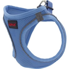 Valor Lepus Pet Air Mesh Mavi Göğüs Tasması Medium