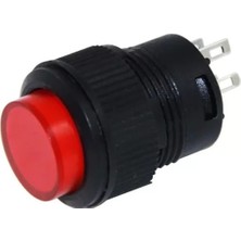 Alka IC-180C Yuvarlak 3p Işıklı 16MM Basmalı Kalıcı Buton