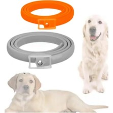 Valor Köpek Pire ve Bit Kovucu Engelleyeci Tasma Boyunluk 62 cm