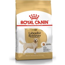 Valor Royal Canin Labrador Retrıever Adultköpek Maması, 12 kg