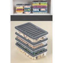 Valor Orret Home 4 Adet Buzdolabı Organizeri, Buzdolabı Için Çok Amaçlı Saklama Kabı, Fresh Box, Şeffaf V