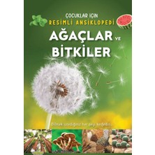 ÖNÇ - PRİME Ağaçlar ve Bitkiler