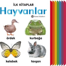ÖNÇ - PRİME Ilk Kitaplar - Hayvanlar