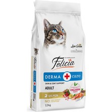 Valor Felicia Az Tahıllı 12 kg Yetişkin Somonlu Hypoallergenic Kedi Maması
