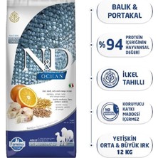 Valor N&d Düşük Tahıllı Ocean Morina Balıklı Portakallı Yetişkin Köpek Maması 12 kg