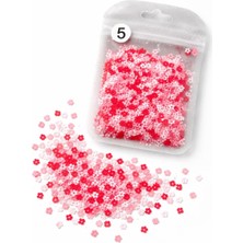 Valor Mistcolor Tırnak Süsleme Pulları 05