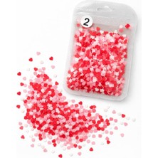 Valor Mistcolor Tırnak Süsleme Pulları No 02