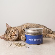 ÖNÇ - PRİME Doğal Kedi Nanesi (Catnip) - 250 ml Kavanoz - Eğlenceli ve Doğal