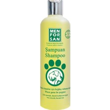 Valor Menforsan Buğday Tohumu Özlü Köpek Şampuanı 300 ml