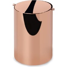 Valor System Banyo Çöp Kovasi 4 L - Rose Renk
