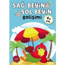 ALK Sağ Beyin-Sol Beyin Gelişimi 4+ Yaş