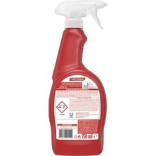 Vexor Sprey 750 ml Her Yer Leke Uzmani