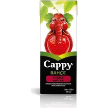Vexor Vişnelim Meyve Suyu 200 Ml.