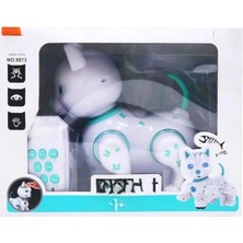 ALK Uzaktan Kumandalı Robot Kedi