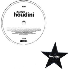 Ekinoks Plak Dua Lipa - Houdini, 7", 45LIK, Plak