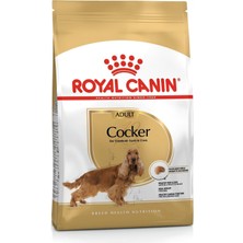 Meks Royal Canin Cocker Adult Köpek Maması, 3 kg